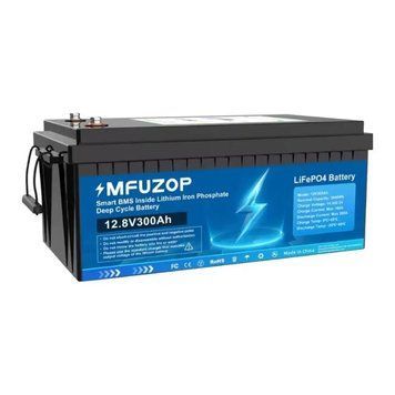 Аккумулятор LiFePO4 MFUZOP 12,8V 300Ah 3840Wh с BMS IP65 2722 фото