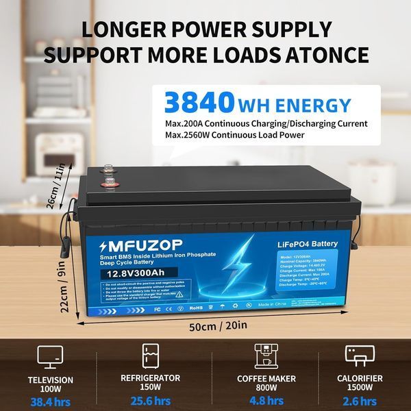 Акумулятор LiFePO4 MFUZOP 12,8V 300Ah 3840Wh з BMS IP65 2722 фото