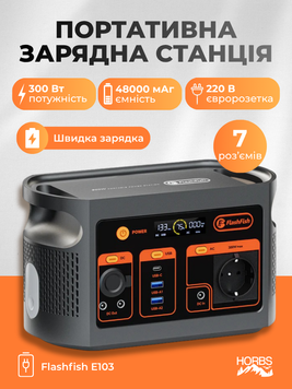 Портативная зарядная станция Flashfish E103 300 Вт 179,2 Вт&middot;ч/48000 мАч 2643 фото