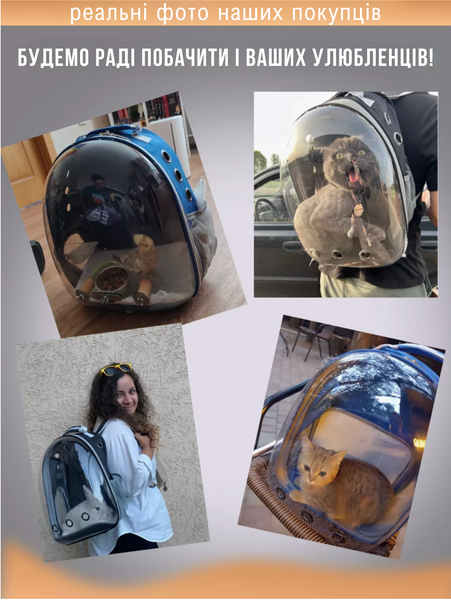 Сумка переноска для кошек собак и грызунов прозрачная черная 42&times;35&times;25 см дышащая для путешествий транспортировки 2193 фото