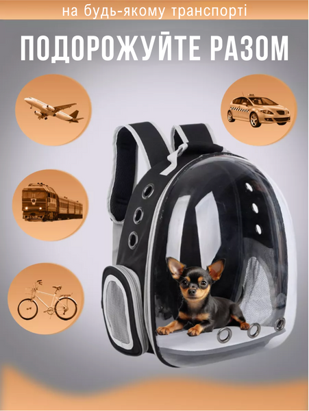 Сумка переноска для кошек собак и грызунов прозрачная черная 42&times;35&times;25 см дышащая для путешествий транспортировки 2193 фото